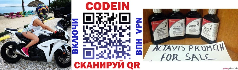 Купить закладки  Ростов  Кодеиновый сироп Lean Purple Drank 