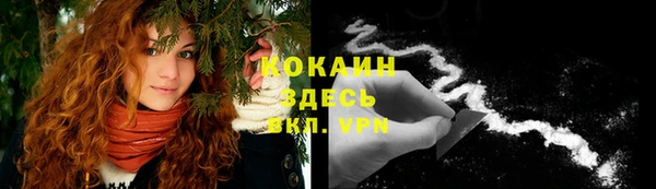 марки lsd Горняк