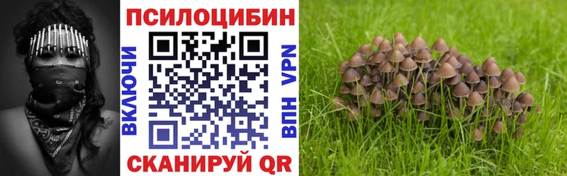Купить где  Ростов  Галлюциногенные грибы Magic Shrooms 